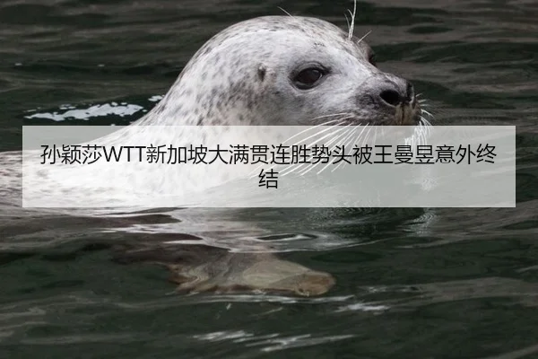 孙颖莎WTT新加坡大满贯连胜势头被王曼昱意外终结