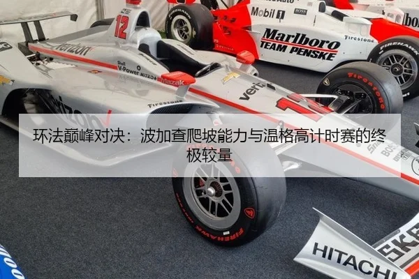 环法巅峰对决：波加查爬坡能力与温格高计时赛的终极较量
